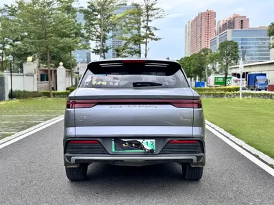 BYD Pro New Energy