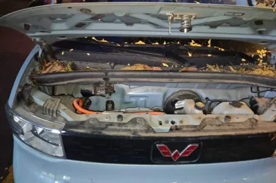 Wuling Hongguang MINIEV