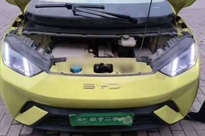 BYD Seagull
