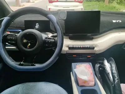 BYD Seagull