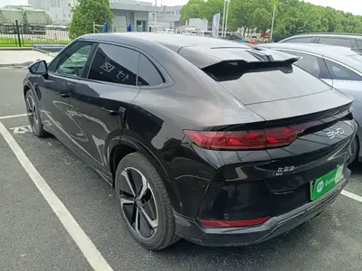BYD L EV