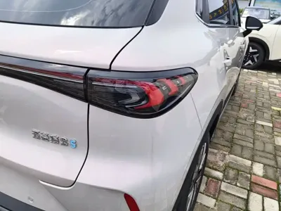 Wuling 缤果S