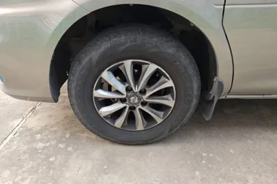 Forthing Lingzhi M5