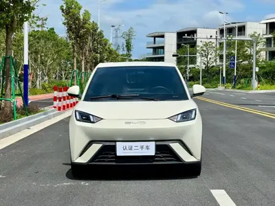 BYD Seagull