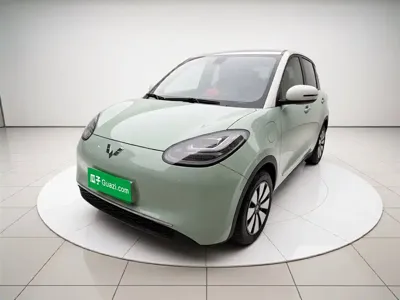Wuling Bingo