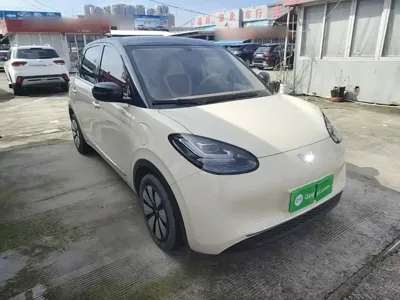 Wuling Bingo