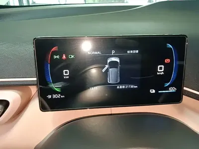 BYD Seagull