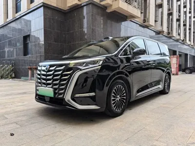 Denza Denza D9