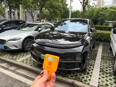 Li Auto Li L7