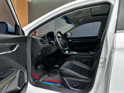 Geely Binrui