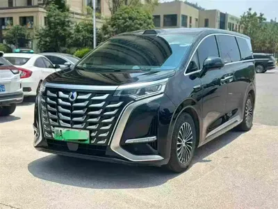 Denza Denza D9