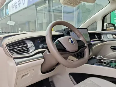 Denza Denza D9