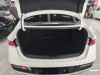 Hyundai Fista