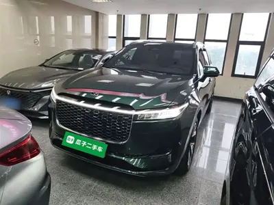 Li Auto Li ONE