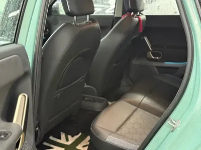 MINI MINI ACEMAN EV