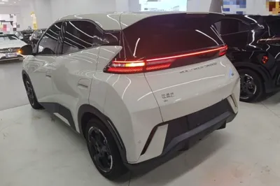 BYD Seagull