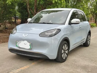 Wuling Bingo