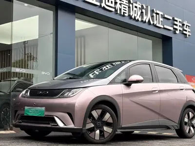 BYD Dolphin