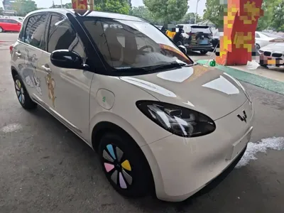 Wuling Bingo