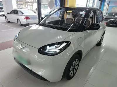 Wuling Bingo
