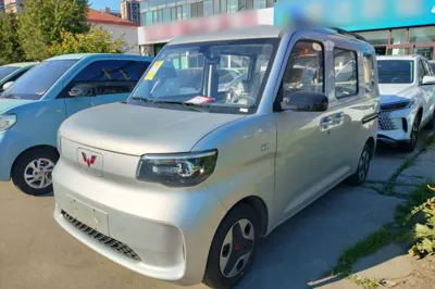 Wuling Zhiguang New Energy
