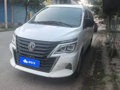 Fengxing Lingzhi