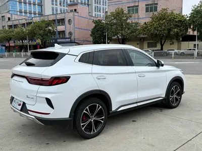 BYD PLUS