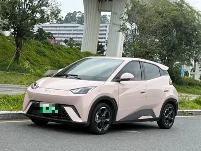 BYD Seagull