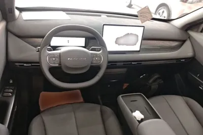 Dongfeng NAMMI 06
