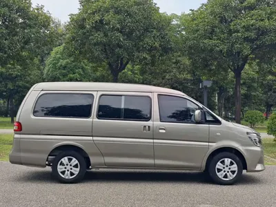 Fengxing Lingzhi