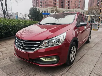 Baojun 310