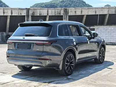 Li Auto Li ONE