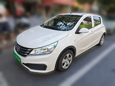 Baojun 310