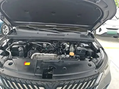 Wuling Jiachen