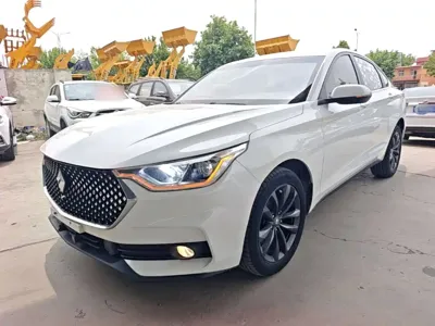Baojun RC-6