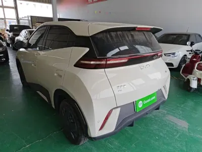 BYD Seagull