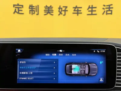 Mercedes-Benz 奔驰GLE(进口)