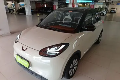 Wuling Bingo