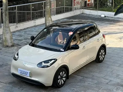 Wuling Bingo