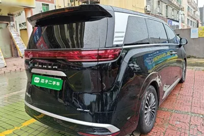 Denza D9