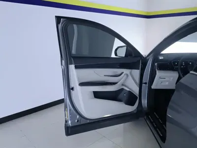 BYD PLUS New Energy