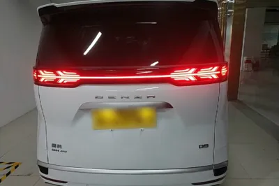 Denza D9