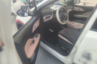 BYD Seagull