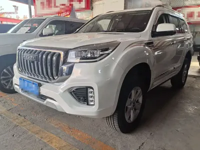 Haval H9