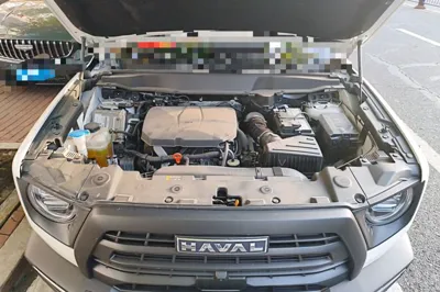 Haval Dargo