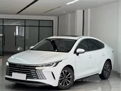 BYD Destroyer 05