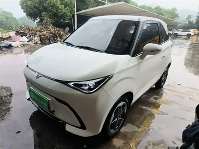 Cowin Shiyue