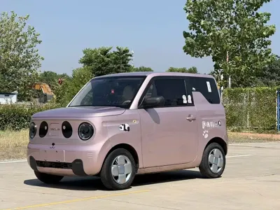 Galaxy Panda