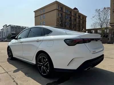 Geely Binrui