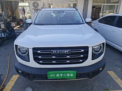 Haval Big Dog